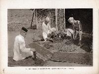 84 Het snijden en uitleggen der Pajo Koemboeh tabak Sumatra